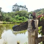 19-06-19- Nova adesão Produtor de Água - Arlindo Fronza