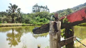 19-06-19- Nova adesão Produtor de Água - Arlindo Fronza