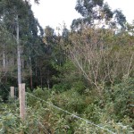 25-06-19- Vistoria Produtor de Água