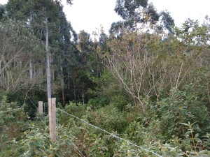 25-06-19- Vistoria Produtor de Água