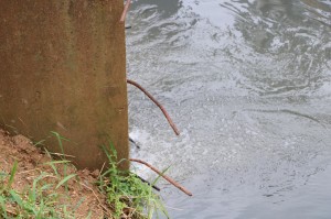 27-06-19- Início testes Nanobolhas - Renata Furlanetto e Ivan Rupp