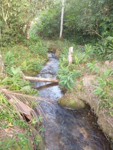 11-07-19- Vistorias Produtor de Água