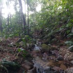 11-07-19- Vistorias Produtor de Água