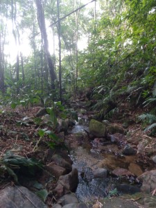 11-07-19- Vistorias Produtor de Água