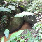 11-07-19- Vistorias Produtor de Água