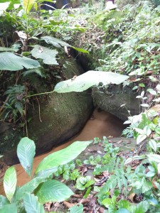 11-07-19- Vistorias Produtor de Água