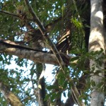 11-07-19- Vistorias Produtor de Água