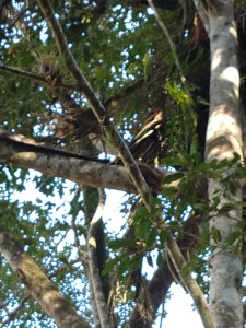 11-07-19- Vistorias Produtor de Água