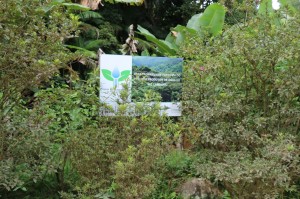 21-03-19- Visita servidores Produtor de Água-Renata Furlanetto (10)