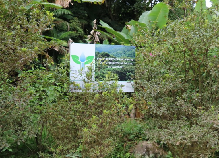 Dia da Árvore: EMASA destaca iniciativas sustentáveis que contribuem com o meio ambiente