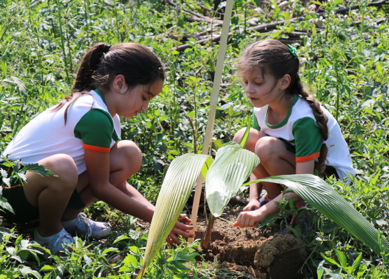 Crianças participam do plantio de mudas realizado pelo Produtor de Água