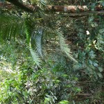 IMG_20191018_145849476