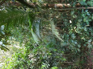 IMG_20191018_145849476