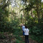 IMG_20191018_150008890