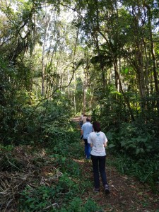 IMG_20191018_150008890