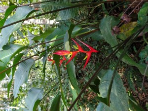 IMG_20191018_150158369