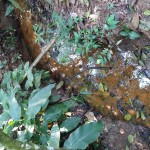 IMG_20191018_150920128