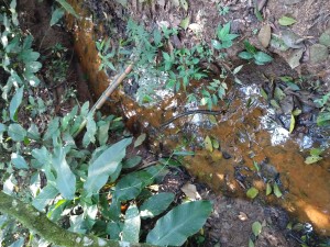 IMG_20191018_150920128