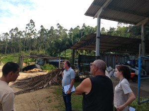 IMG_20191018_154018481