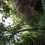 IMG_20191018_162002684