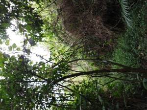 IMG_20191018_162002684